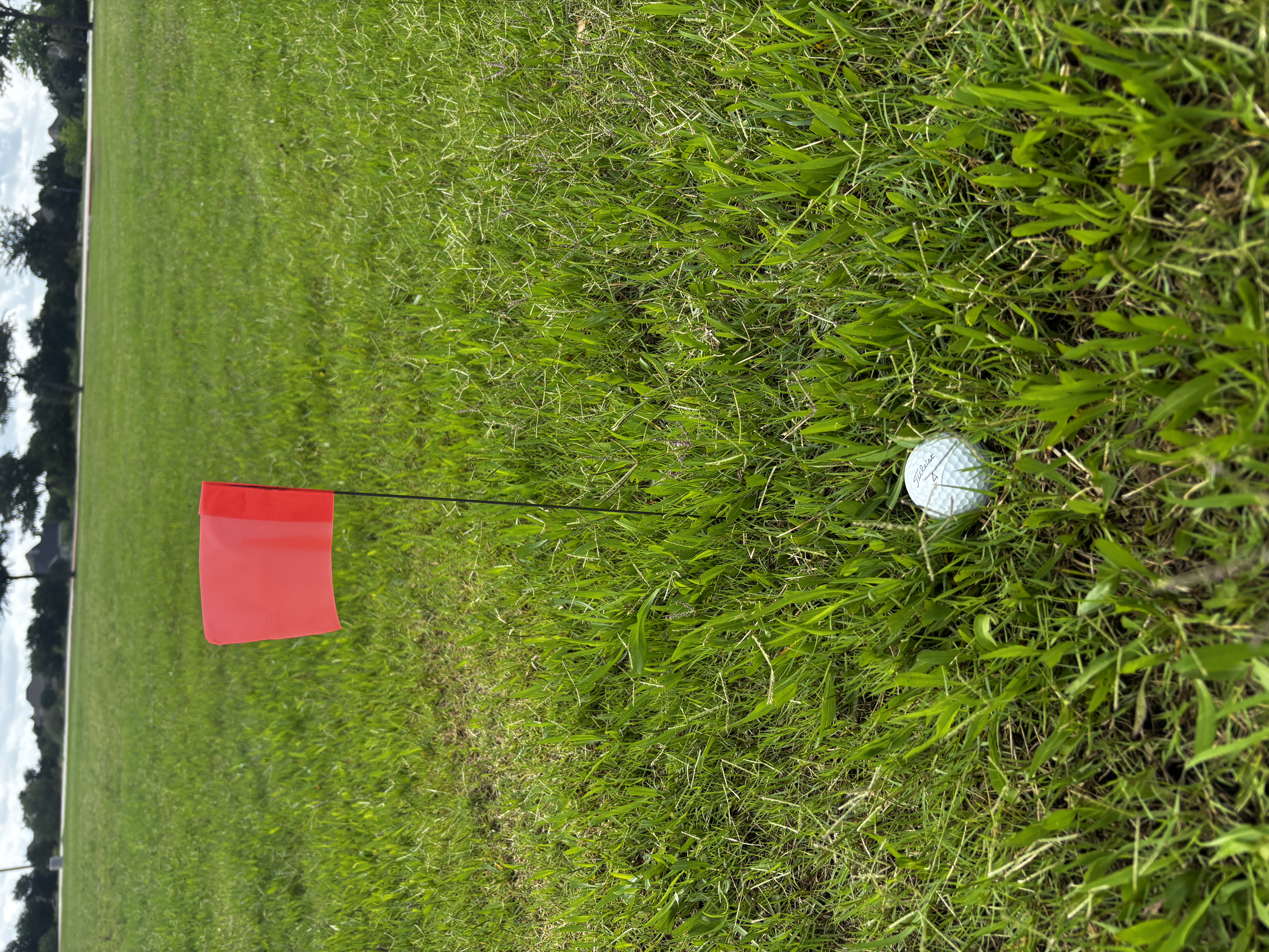Red flag marking a golf ball in the rough